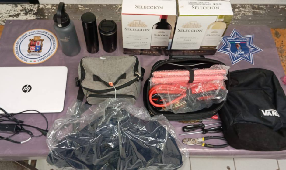 robo a vehículo León