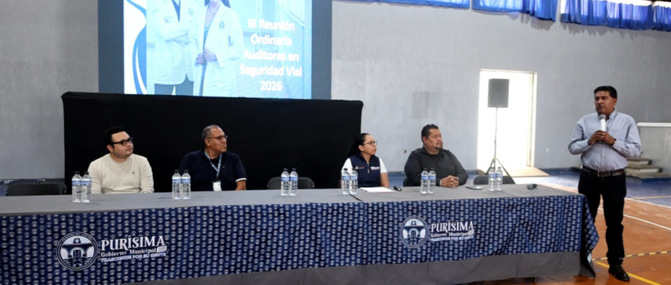 Auditoría vial Purísima