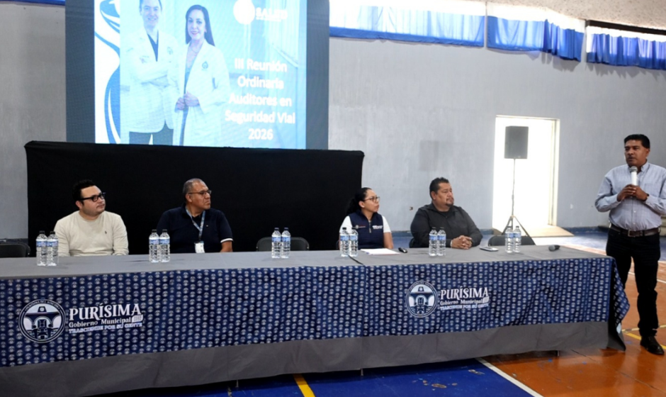 Auditoría vial Purísima