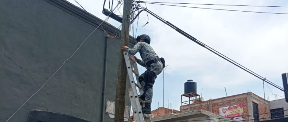 cámaras parásitas Purísima