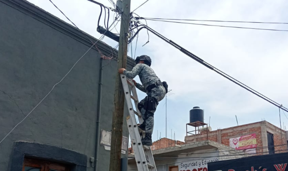 cámaras parásitas Purísima