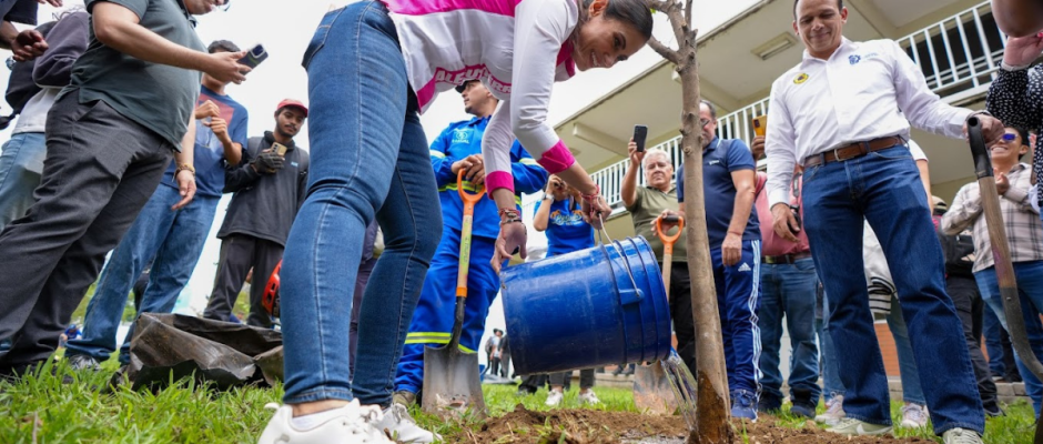 100 mil árboles rescatados