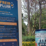 Concierto sinfónico La Piedra Filosofal llega a León con causa a favor de personas con discapacidad