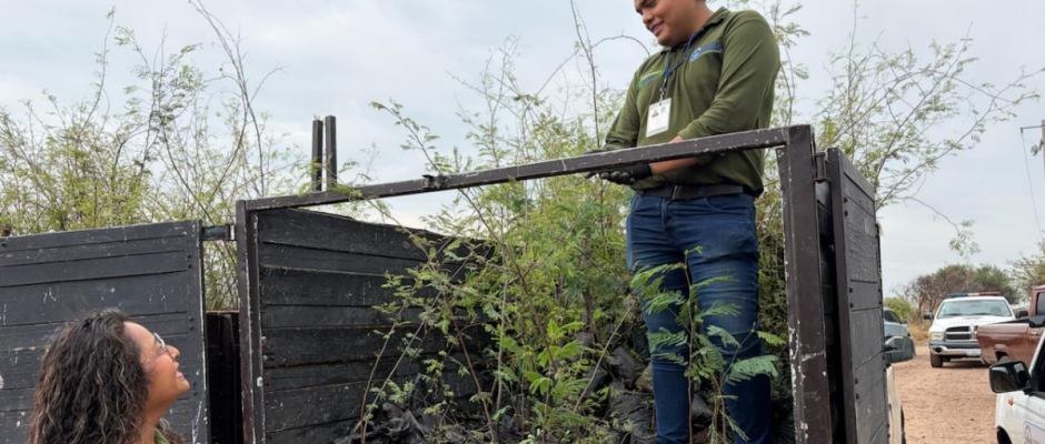 Reforestación en Purísima