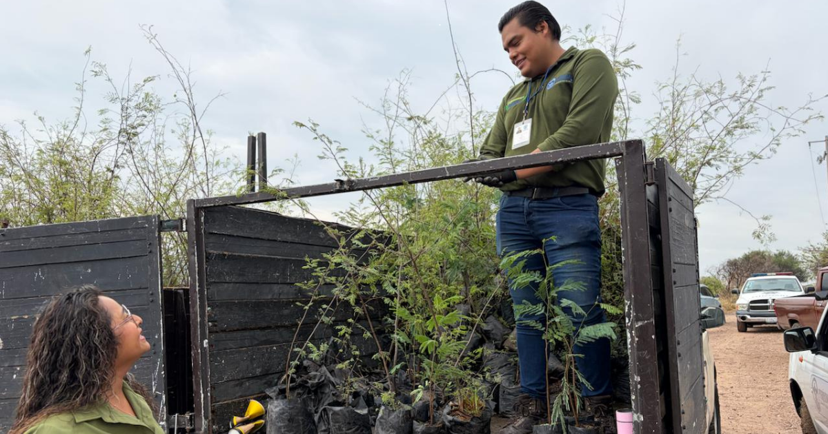 Reforestación en Purísima recupera 4 hectáreas con la plantación de mil árboles nativos