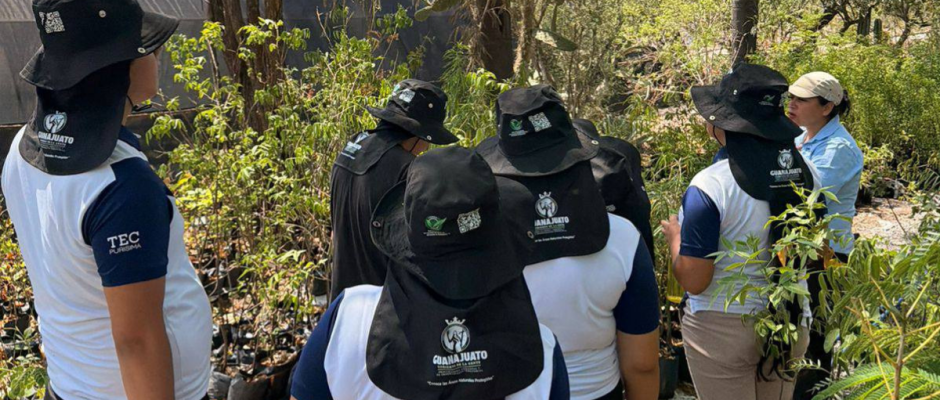 Semana del Medio Ambiente