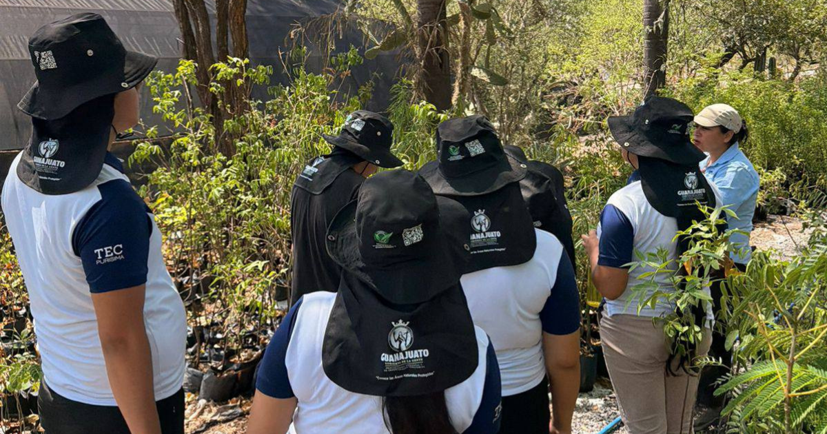 Purísima del Rincón impulsa Semana del Medio Ambiente con reforestación masiva y actividades ciudadanas