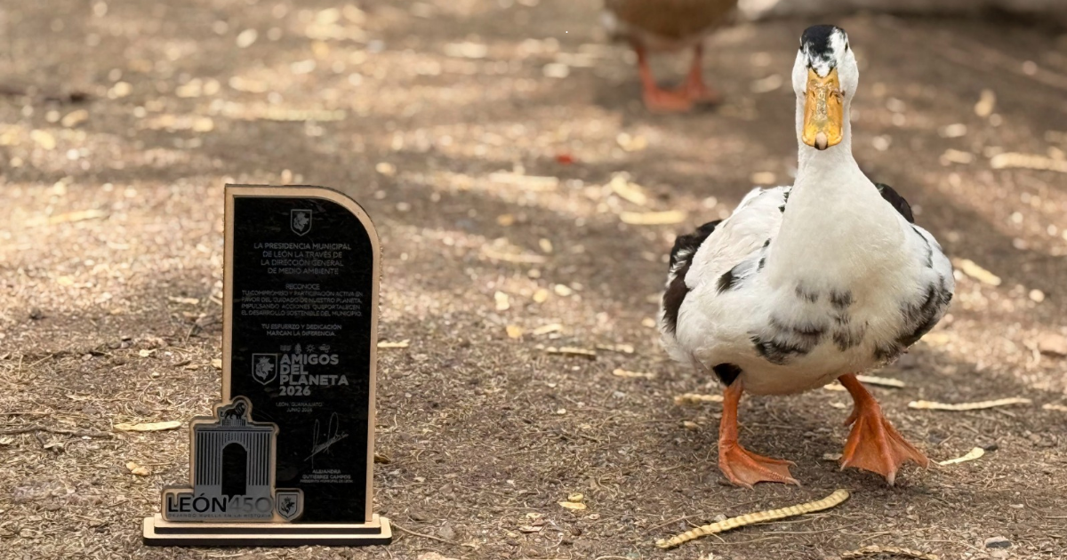 Villa Cuack recibe reconocimiento por proteger más de 120 especies de aves en León