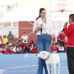 IMUVI León impulsa la sustentabilidad con sistema de energía solar en sus oficinas