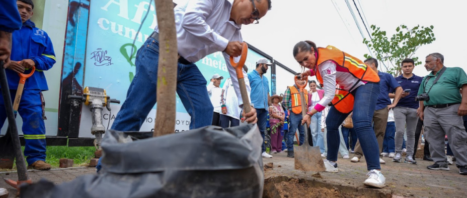 Arbolado urbano León