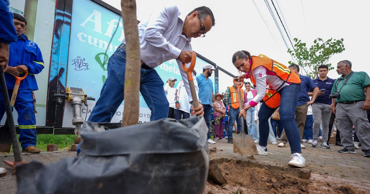 Arbolado urbano en León crece con más de 62 mil árboles plantados y una nueva etapa de forestación