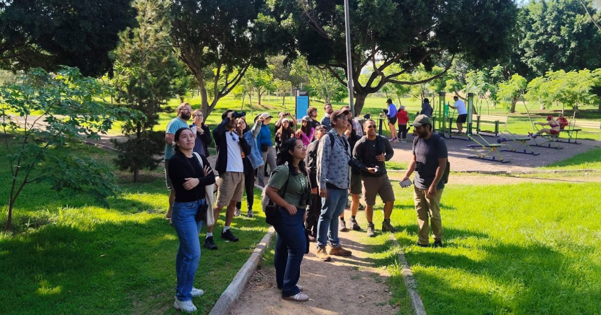 Parque Cárcamos sorprende con avistamiento de aves y confirma su riqueza en biodiversidad urbana