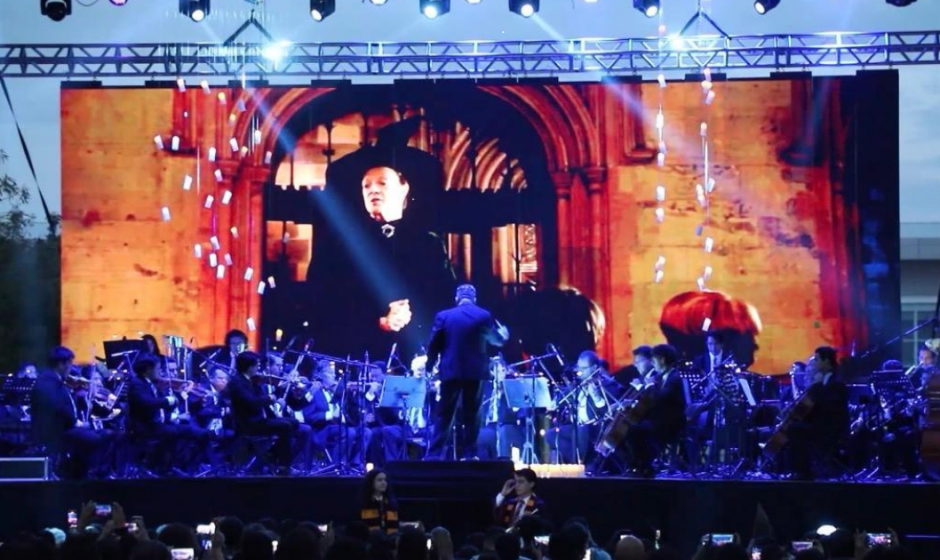 Concierto con causa