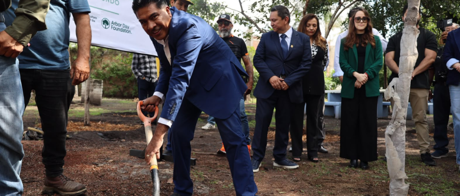 Foro Arbolado Urbano