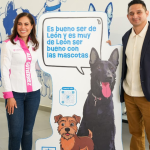 Empleo formal en Guanajuato crece y coloca al estado entre los líderes nacionales