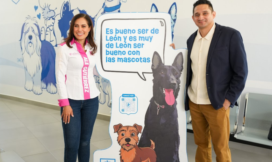 Hospital Mascotas León