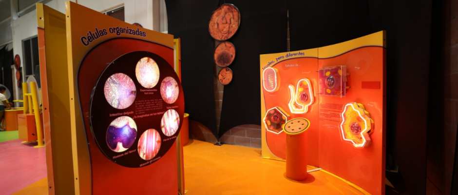 Museo Ambiental Purísima