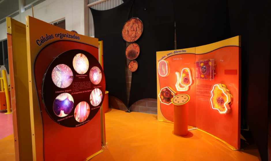 Museo Ambiental Purísima