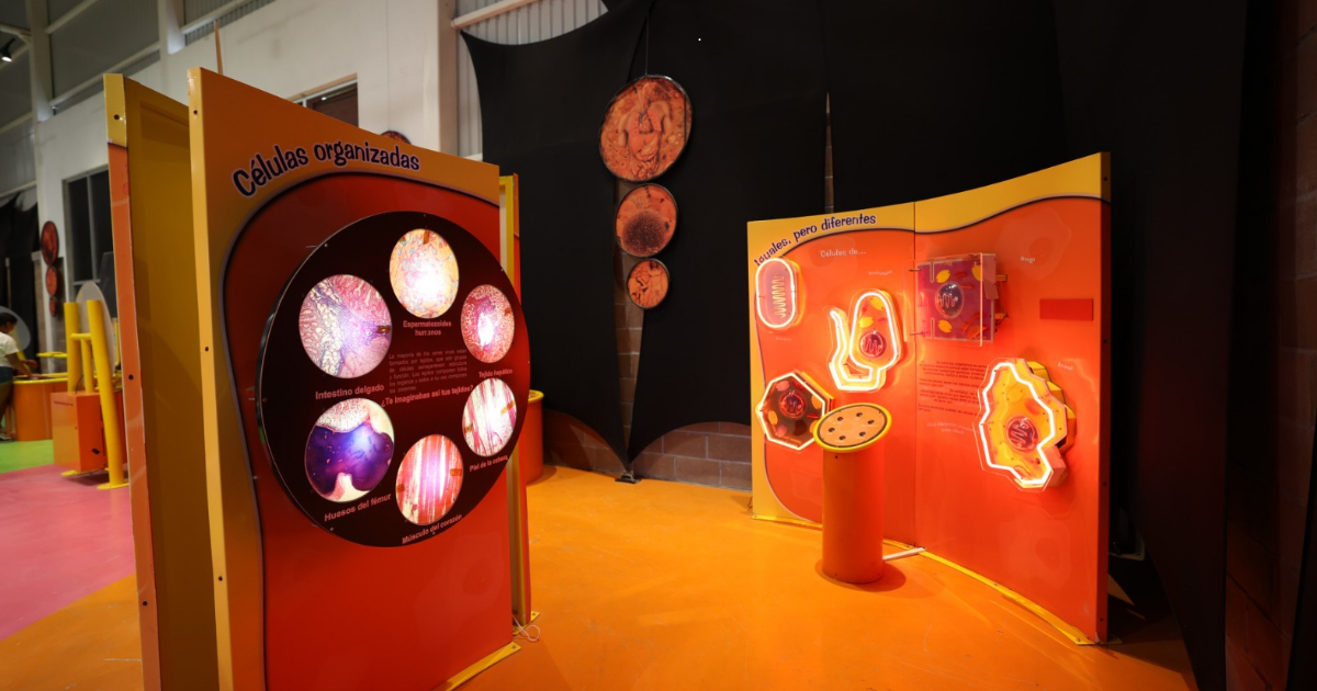 Aprueban Museo de Educación Ambiental en Purísima para fortalecer la conciencia ecológica
