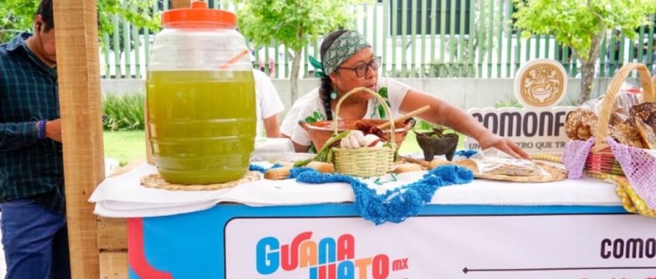 Guanajuato Sí Sabe
