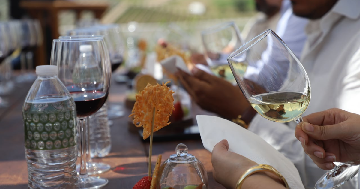 Vinos de Guanajuato brillan en el mundo: el estado se consolida como potencia vitivinícola de México