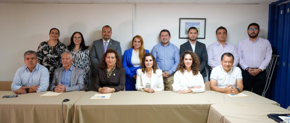 Comité Ciudadano León