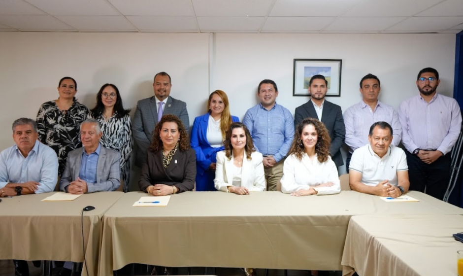 Comité Ciudadano León
