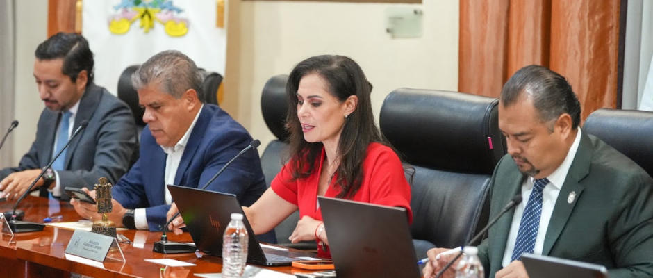 Comité Municipal Ciudadano