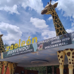 León entrega 2 mil 180 apoyos para mejorar las condiciones de vivienda