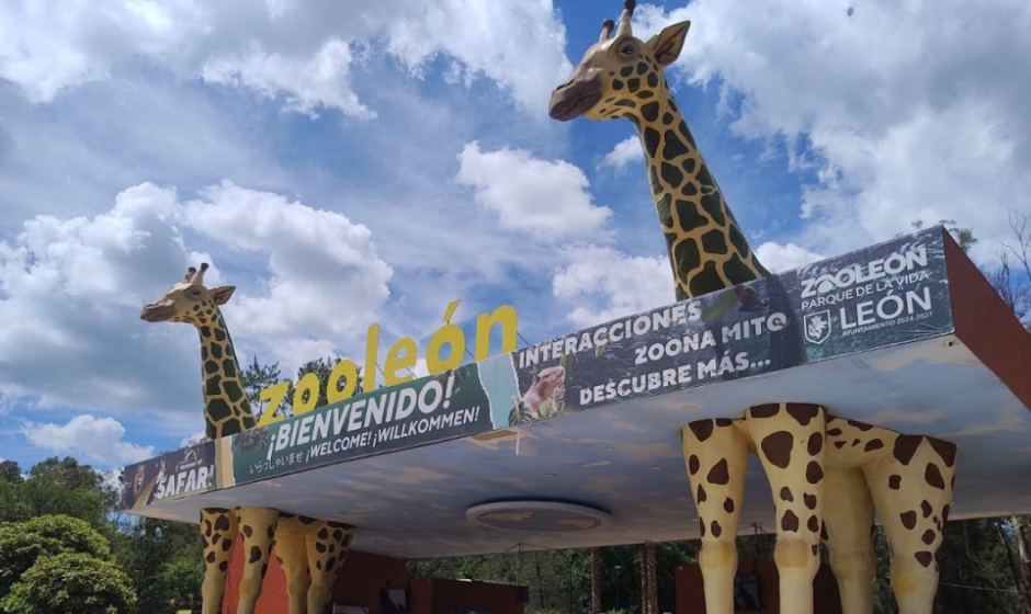 ZooLeón 47 años