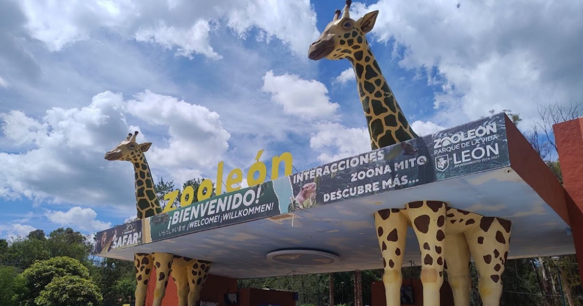 ZooLeón cumple 47 años y transforma su historia en un Parque de la Vida