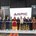 Bibliotecas públicas fortalecen sus servicios con taller de capacitación en Romita