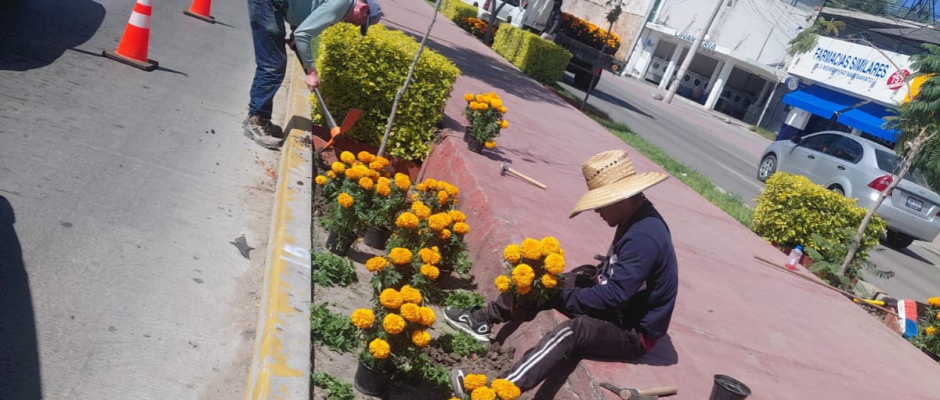 Día de Muertos en Purísima