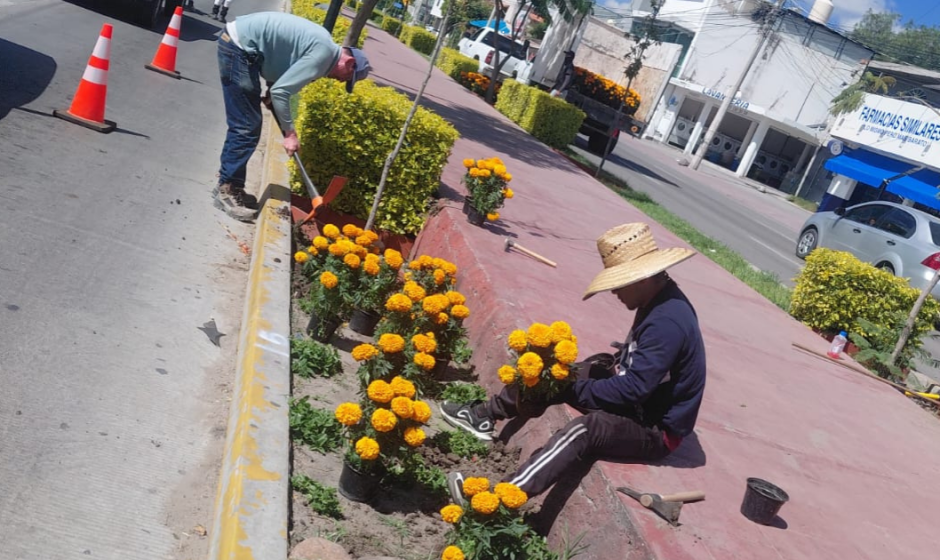 Día de Muertos en Purísima