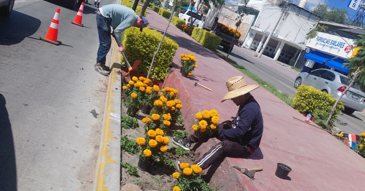 Purísima del Rincón cambia reciclaje por cempasúchil para celebrar el Día de Muertos