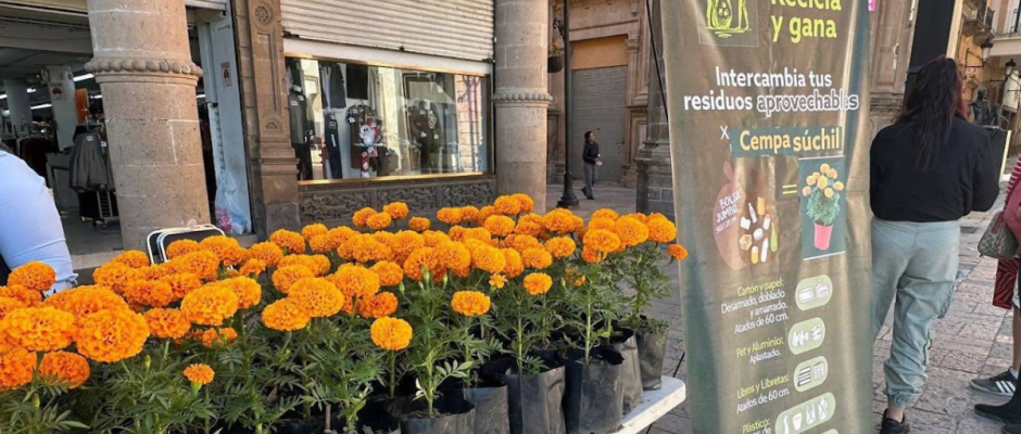 reciclaje en León