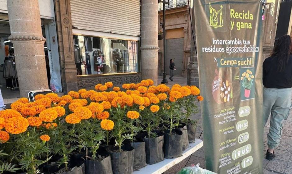 reciclaje en León