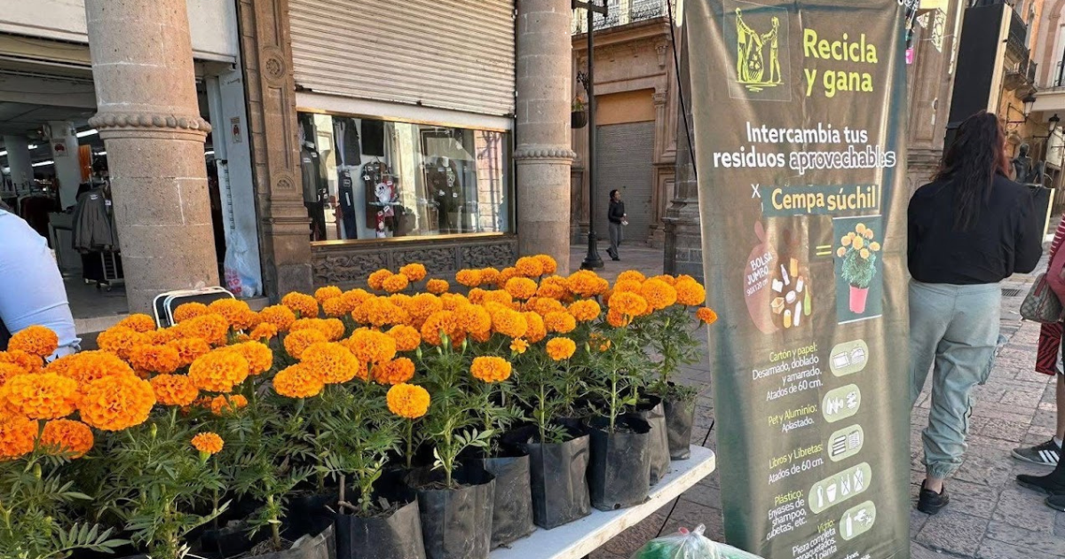 Recicla en León y llévate una planta de cempasúchil para Día de Muertos